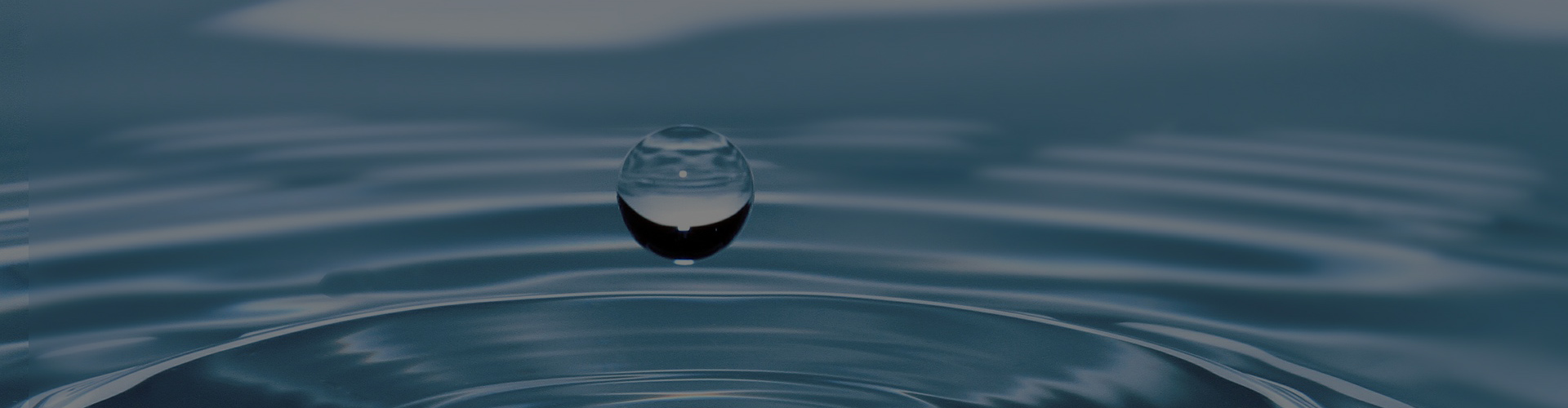 火狐直播APP官网