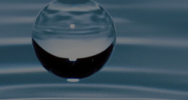 火狐直播APP官网